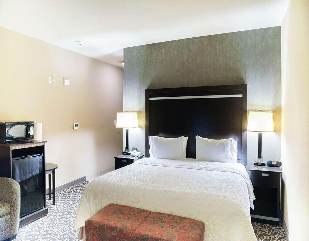 Hampton Inn & Suites Bay City Pokój zdjęcie